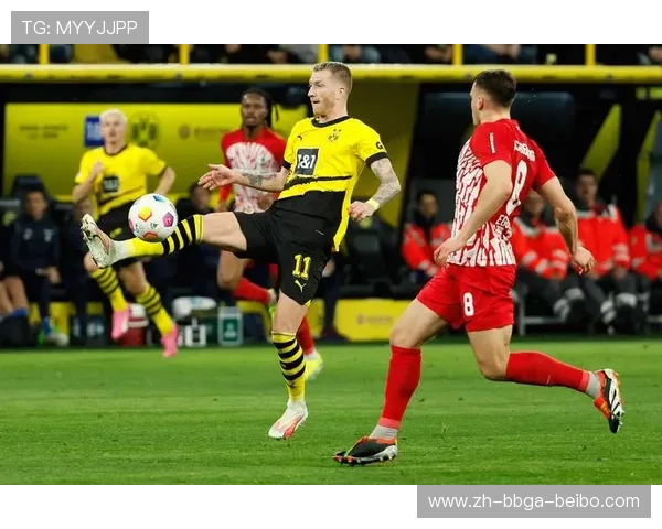 德甲球队在欧战赛场的整体水平与战绩 德甲球队在欧战赛场的整体水平与战绩