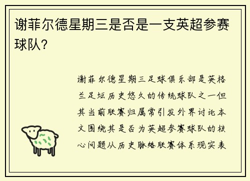 谢菲尔德星期三是否是一支英超参赛球队？